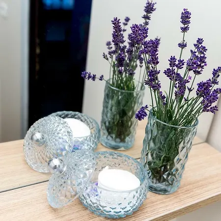 Casa Miron Unirii 2 * טימישוארה