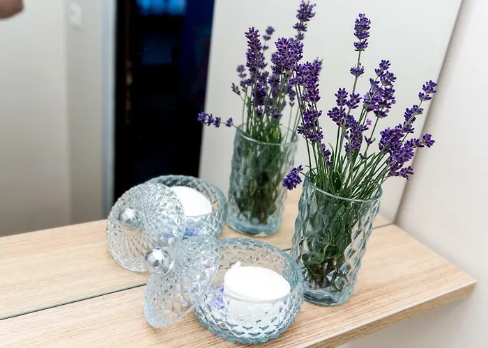 Casa Miron Unirii 2 * Timişoara